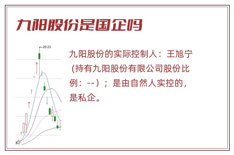 九阳股份是国企吗