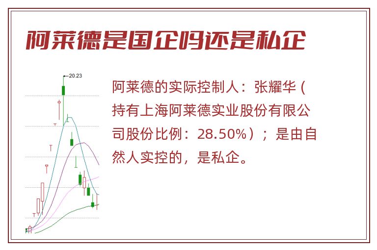 阿莱德是国企吗还是私企