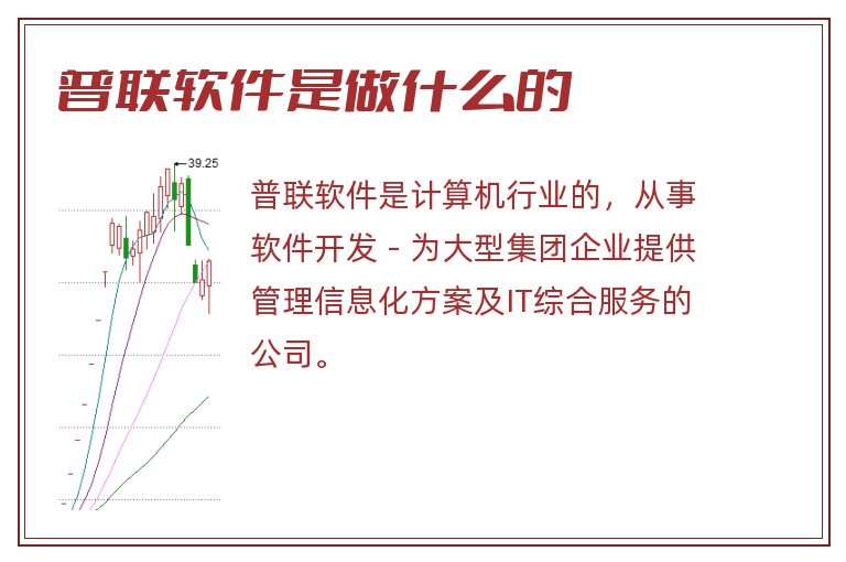 普联软件是做什么的