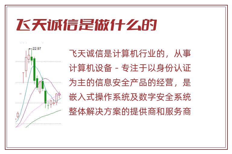 飞天诚信是做什么的