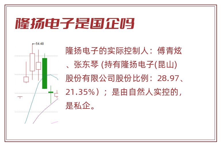 隆扬电子是国企吗