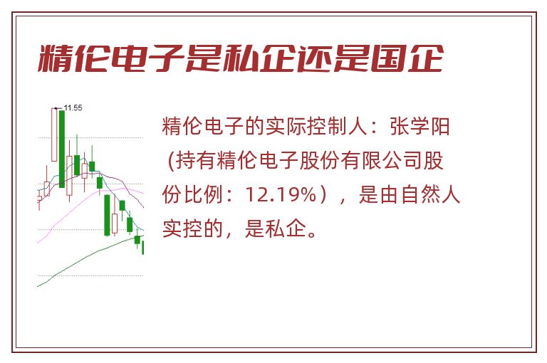 精伦电子是私企还是国企