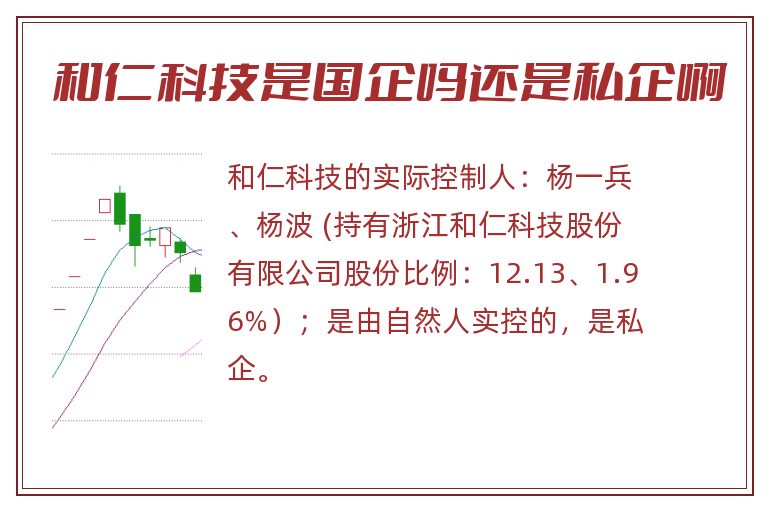 和仁科技是国企吗还是私企啊