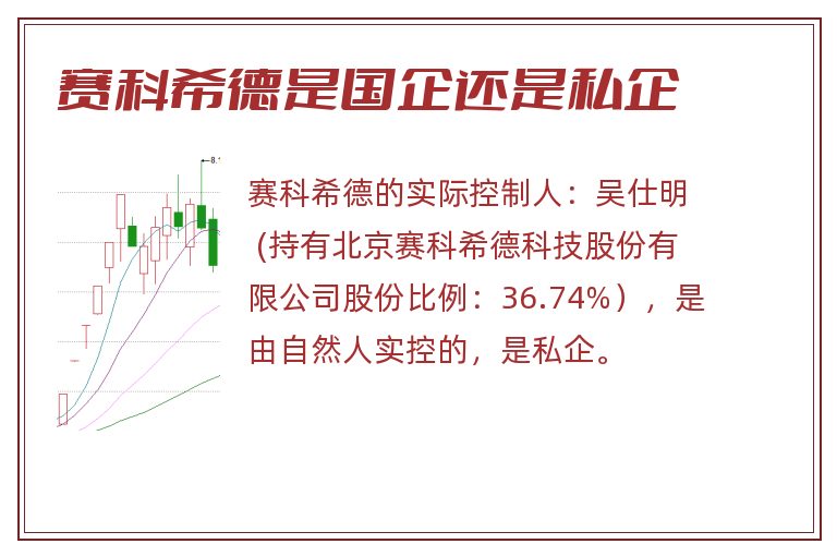 赛科希德是国企还是私企