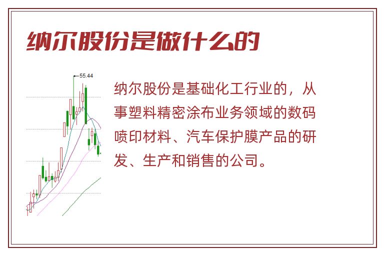 纳尔股份是做什么的