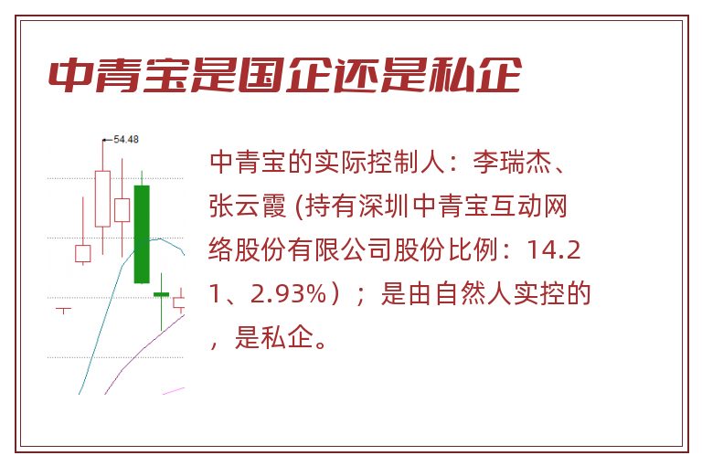中青宝是国企还是私企