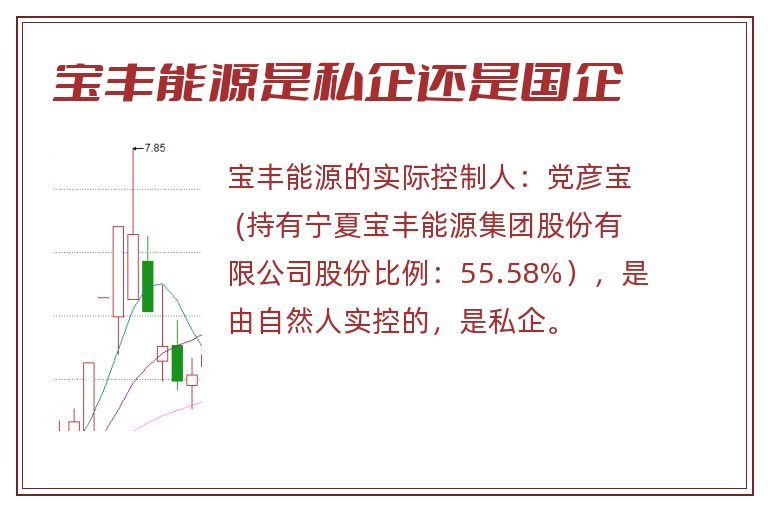 宝丰能源是私企还是国企