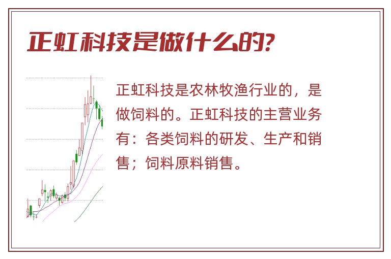 正虹科技是做什么的？