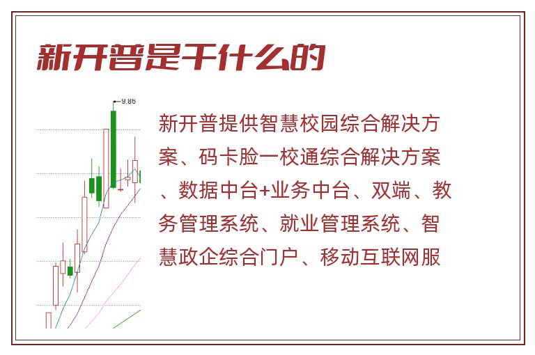 新开普是干什么的