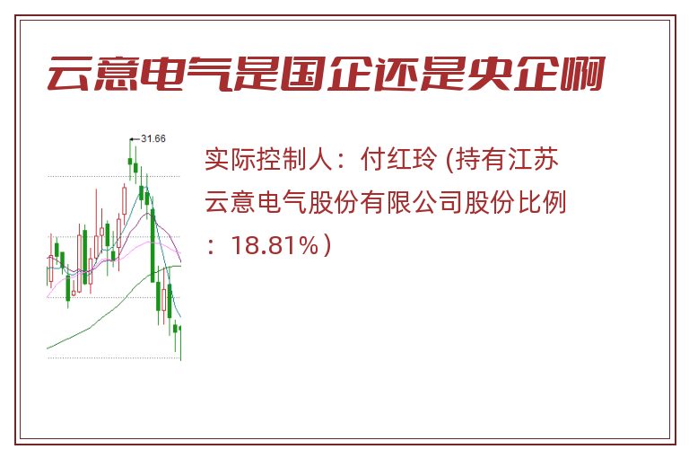 云意电气是国企还是央企啊