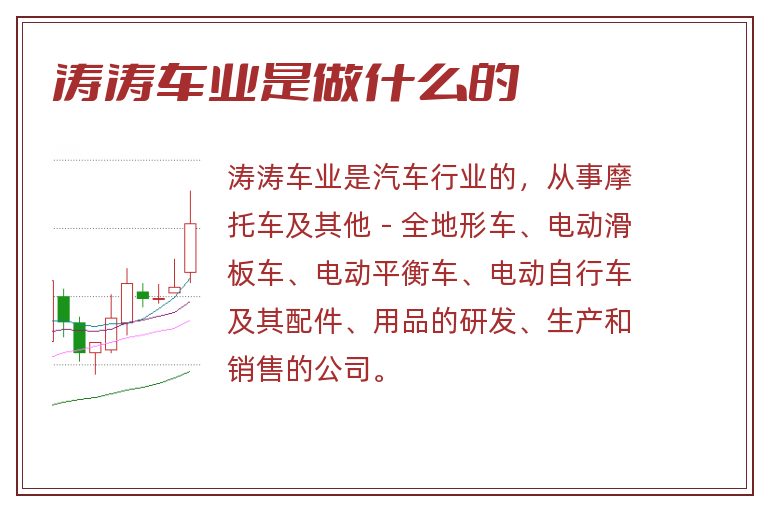 涛涛车业是做什么的