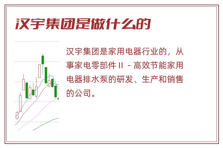 汉宇集团是做什么的