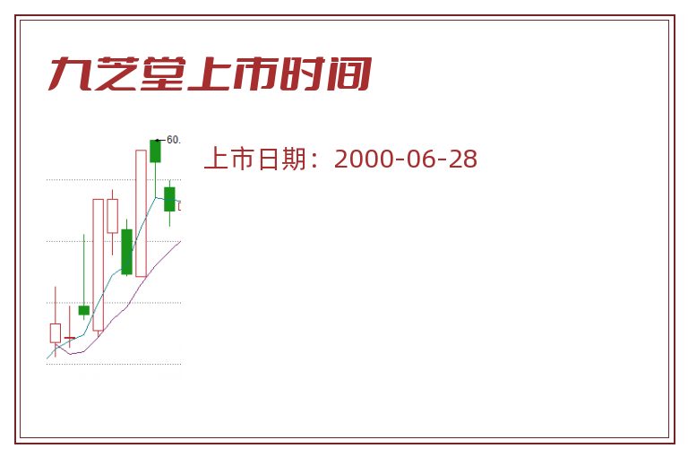 九芝堂上市时间