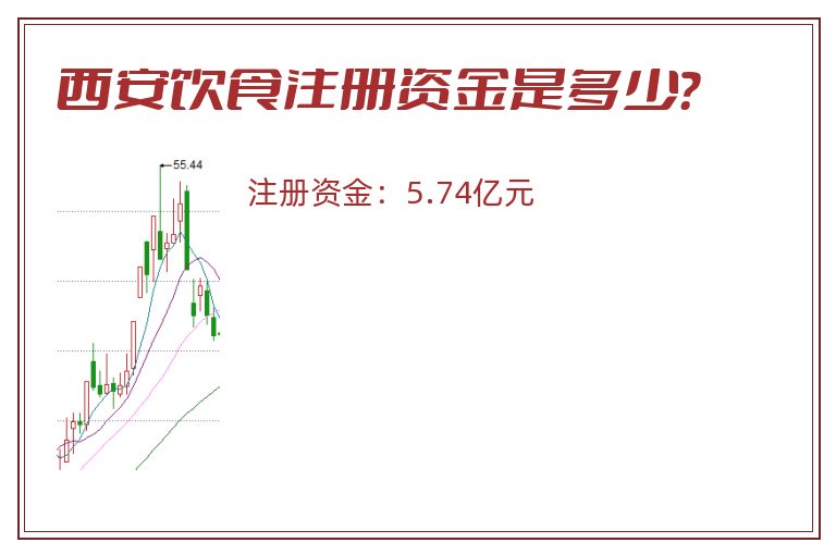 西安饮食注册资金是多少？