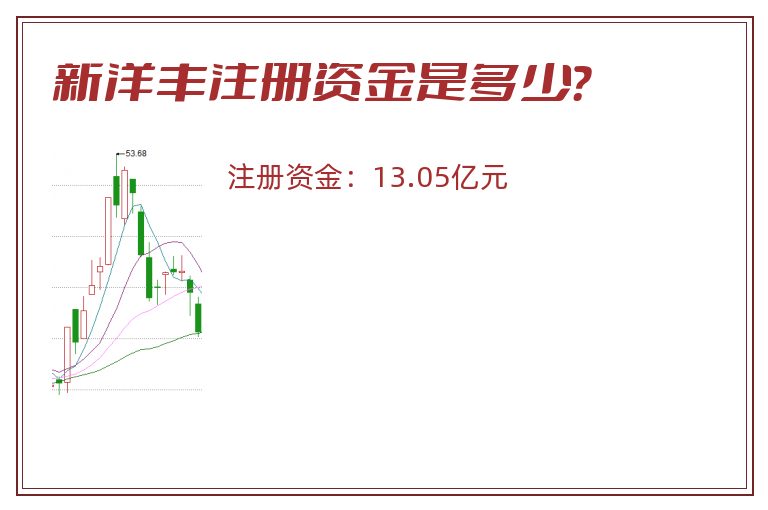 新洋丰注册资金是多少？