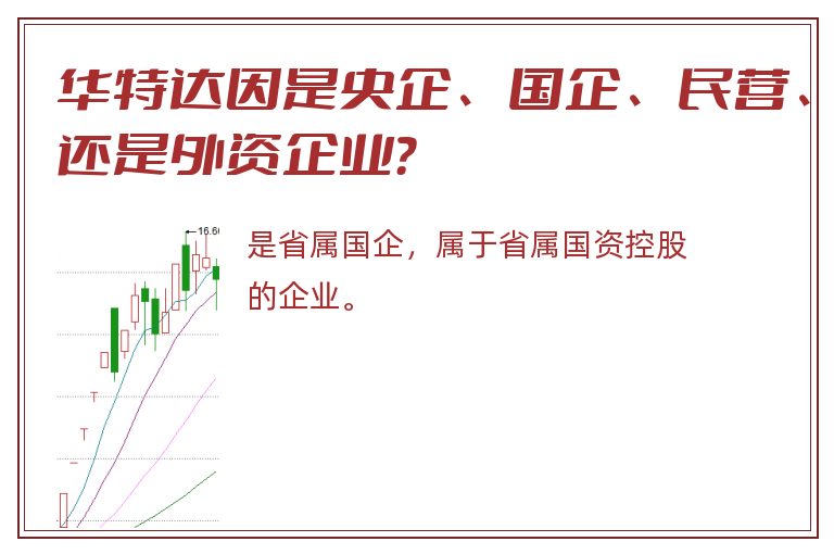 华特达因是央企、国企、民营、还是外资企业？