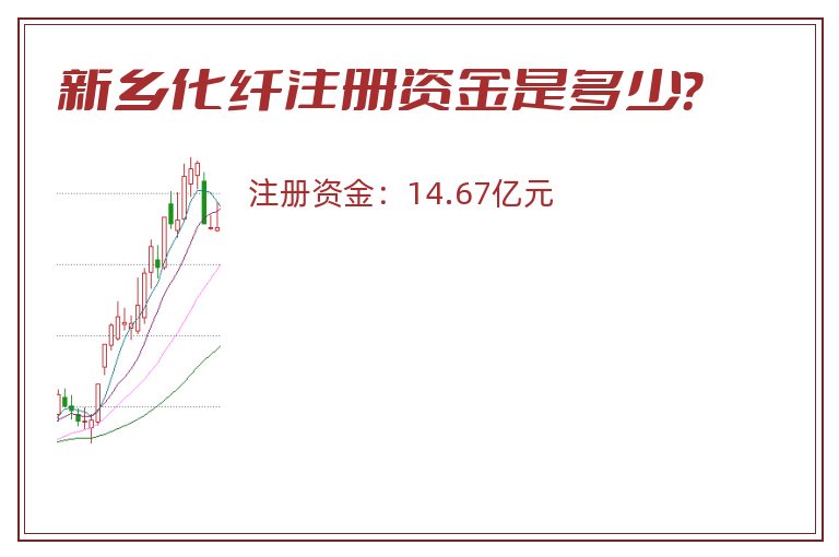 新乡化纤注册资金是多少？