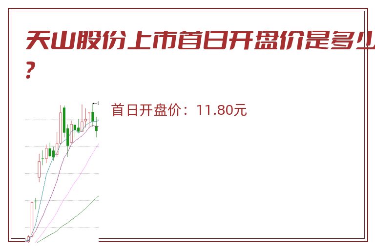 天山股份上市首日开盘价是多少？