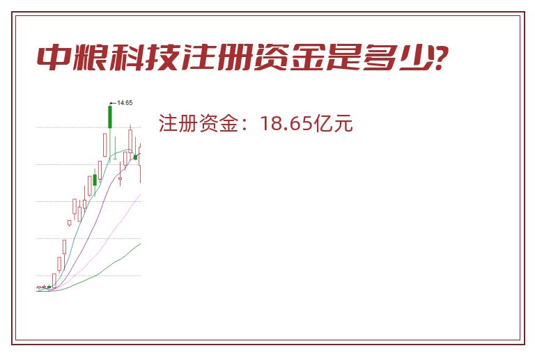 中粮科技注册资金是多少？