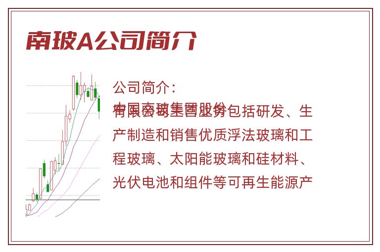 南玻A公司简介