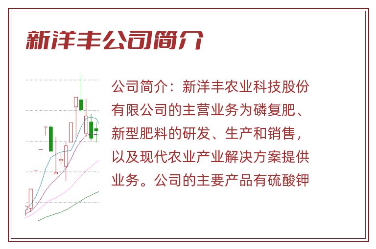 新洋丰公司简介