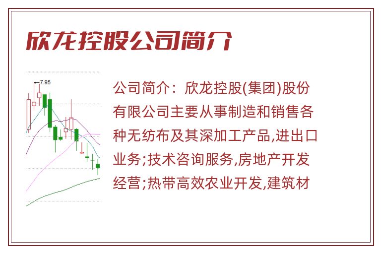 欣龙控股公司简介