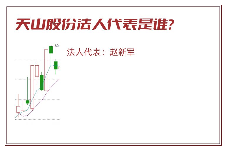 天山股份法人代表是谁？