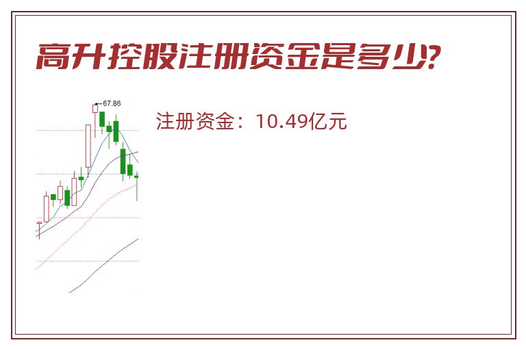 高升控股注册资金是多少？