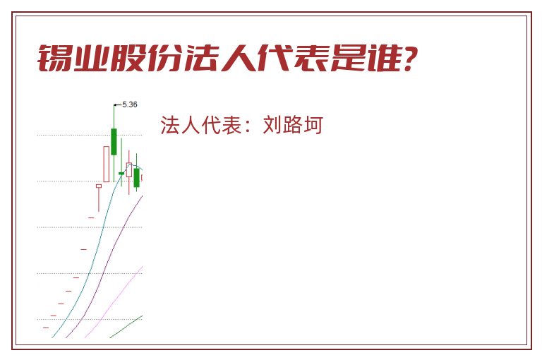 锡业股份法人代表是谁？