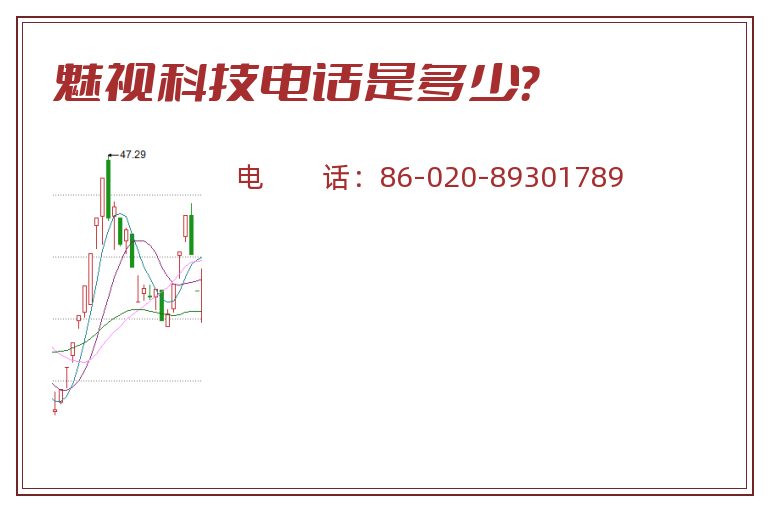 魅视科技电话是多少？