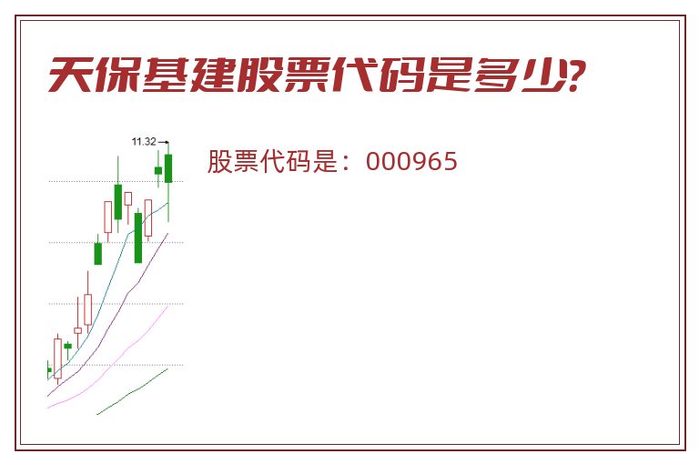 天保基建股票代码是多少？