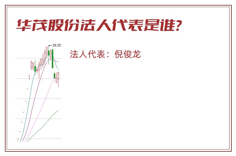 华茂股份法人代表是谁？