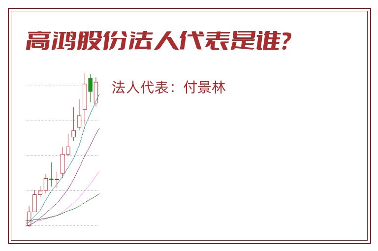 高鸿股份法人代表是谁？