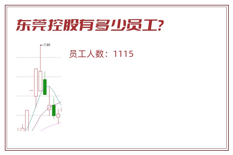 东莞控股有多少员工？