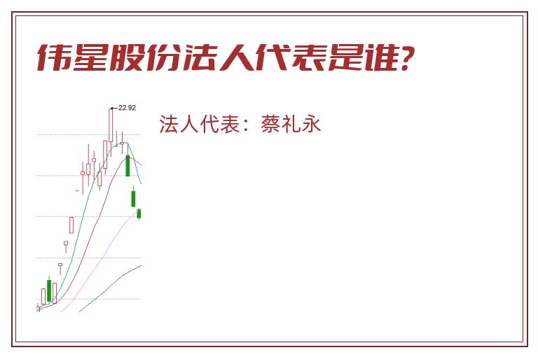 伟星股份法人代表是谁？