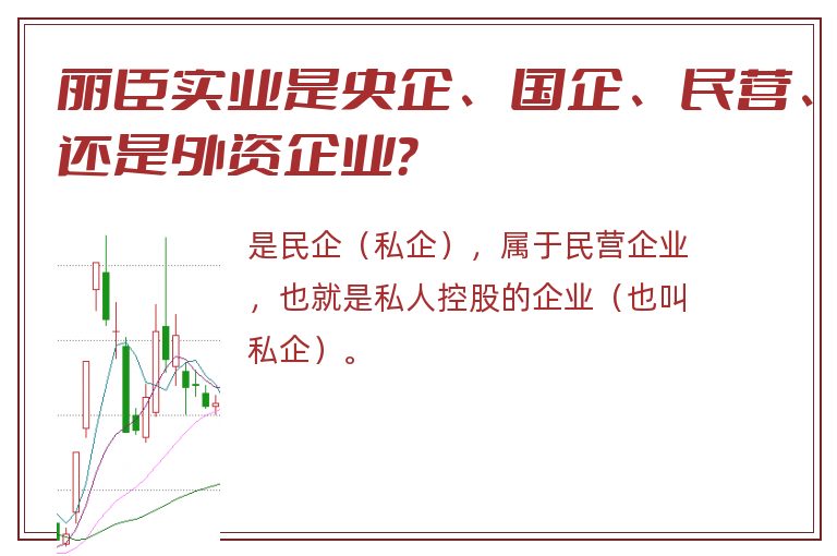 丽臣实业是央企、国企、民营、还是外资企业？