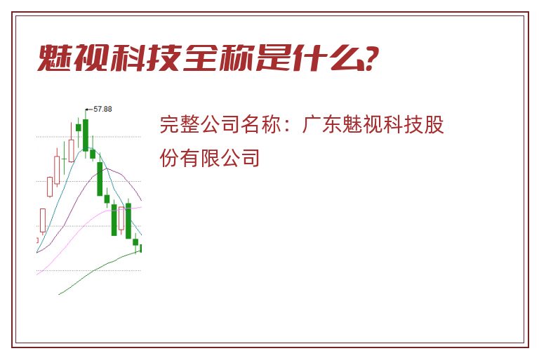 魅视科技全称是什么？