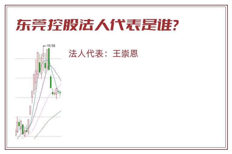 东莞控股法人代表是谁？