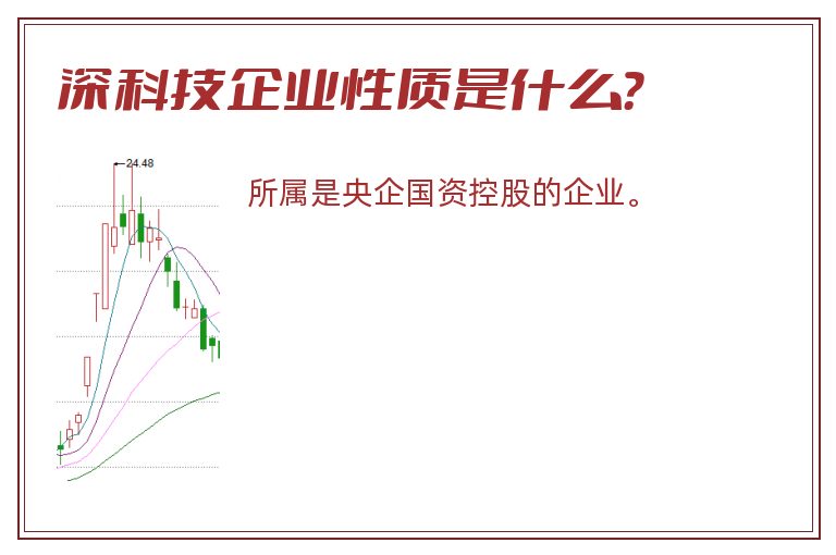 深科技企业性质是什么？