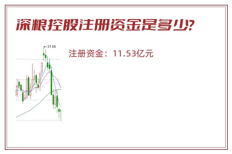 深粮控股注册资金是多少？