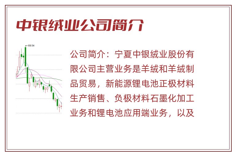 中银绒业公司简介