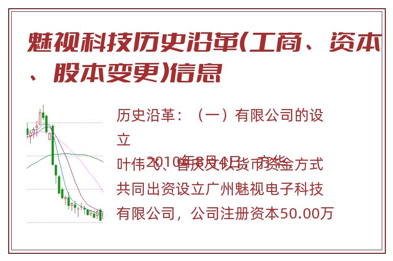 魅视科技历史沿革（工商、资本、股本变更）信息