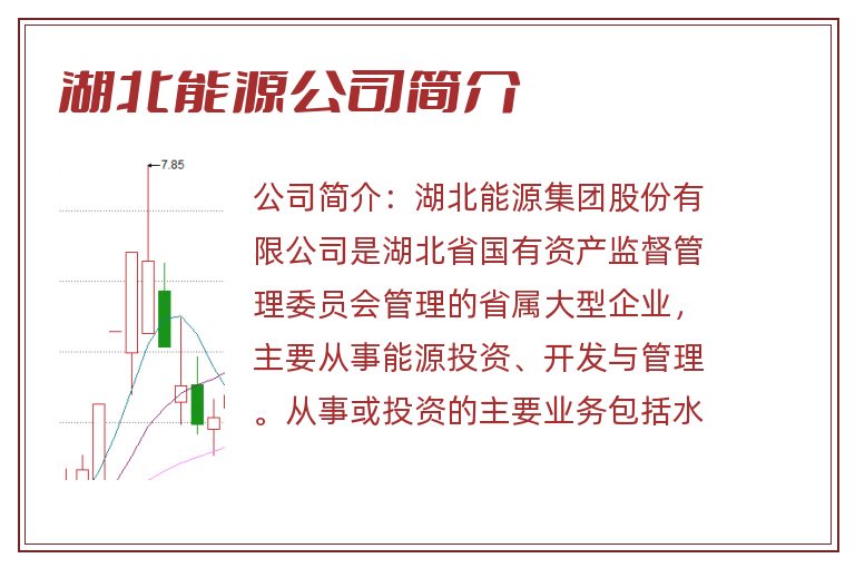 湖北能源公司简介