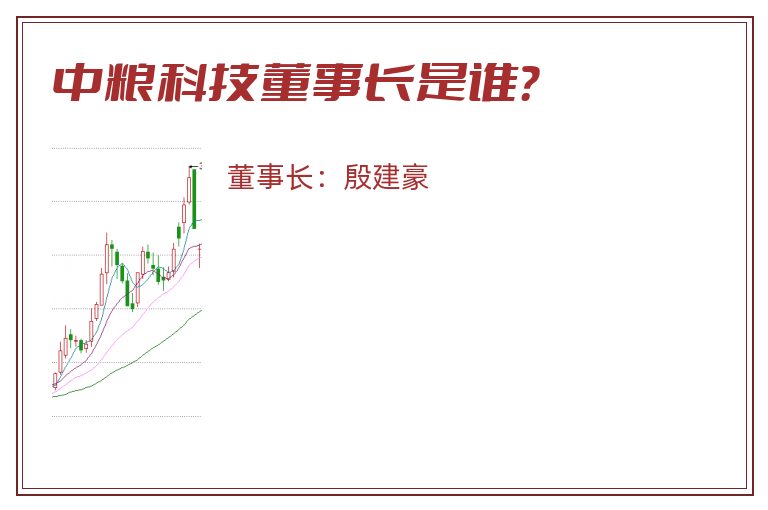 中粮科技董事长是谁？