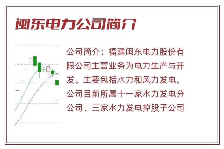 闽东电力公司简介