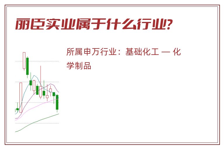 丽臣实业属于什么行业？