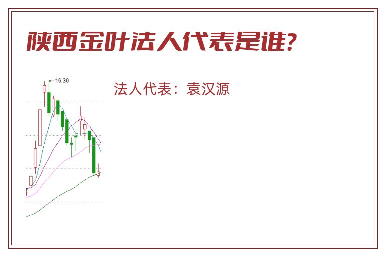 陕西金叶法人代表是谁？