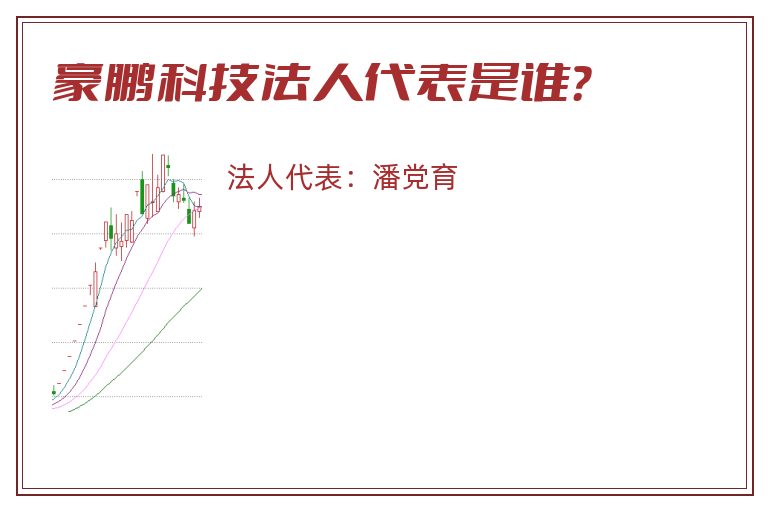 豪鹏科技法人代表是谁？