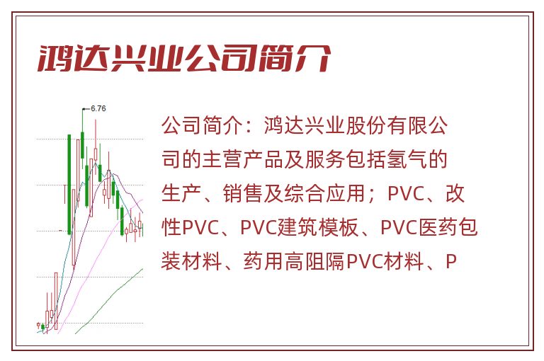 鸿达兴业公司简介