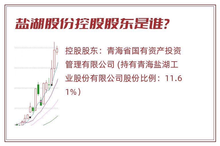 盐湖股份控股股东是谁？